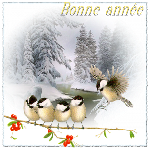 bonne année